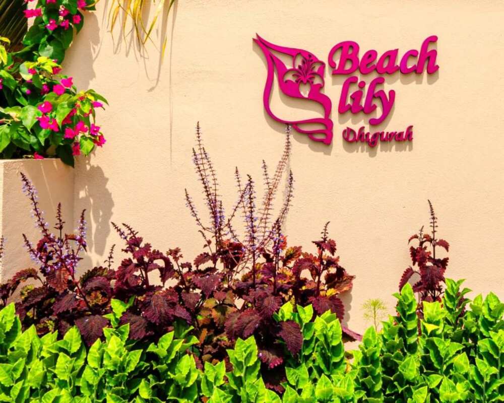 Beach Lily Dhigurah entrance sign surrounded by tropical flowers